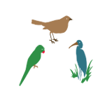 பறவைகளின் பெயர்கள் | Bird's Names 