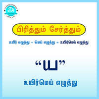பாடங்கள்