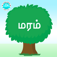 பாடங்கள்