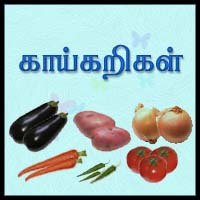 பாடங்கள்