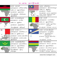 பாடங்கள்