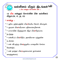 பாடங்கள்