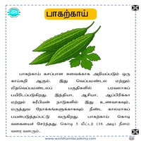 பாடங்கள்