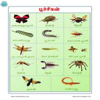 பாடங்கள்