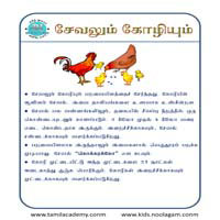 பாடங்கள்