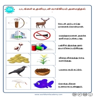 பாடங்கள்