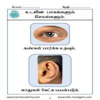 பாடங்கள்