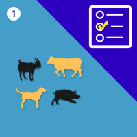 பாடங்கள்