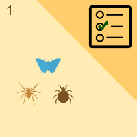 பாடங்கள்