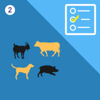 பாடங்கள்