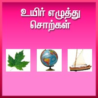 பாடங்கள்