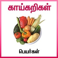 பாடங்கள்