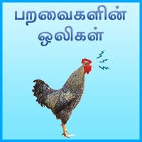பாடங்கள்