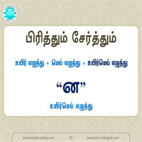 பாடங்கள்