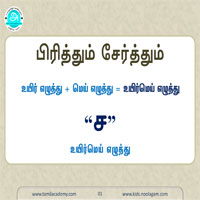 பாடங்கள்