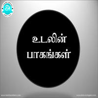பாடங்கள்