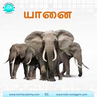 பாடங்கள்