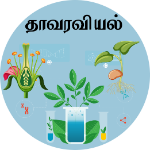 தாவரவியல்