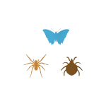 பூச்சிகள்